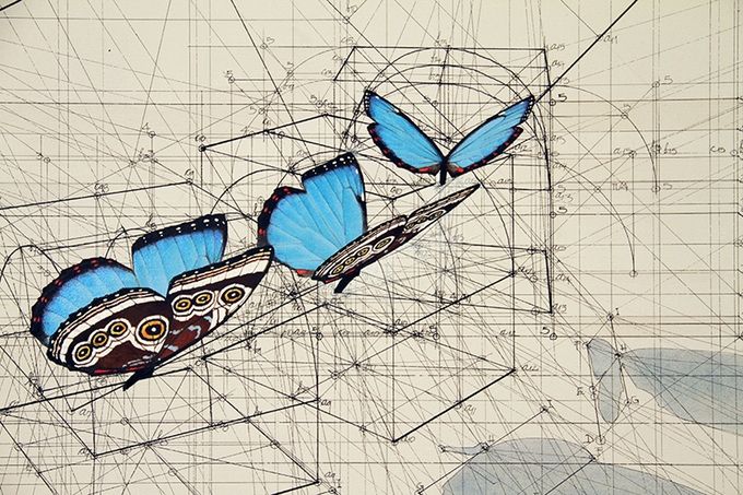 af8a1e4706417fb4ff116f523217efbc_original