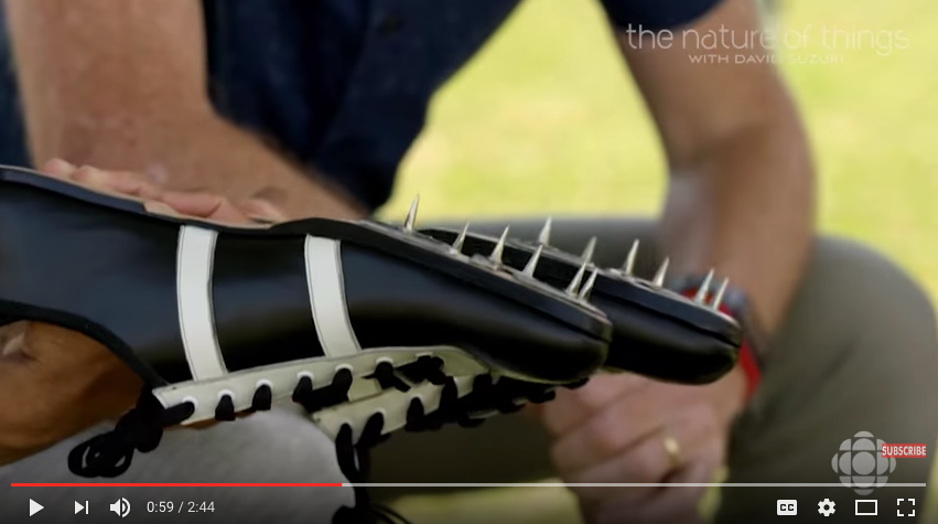 Screen Shot 2016-08-22 at 07.52.18