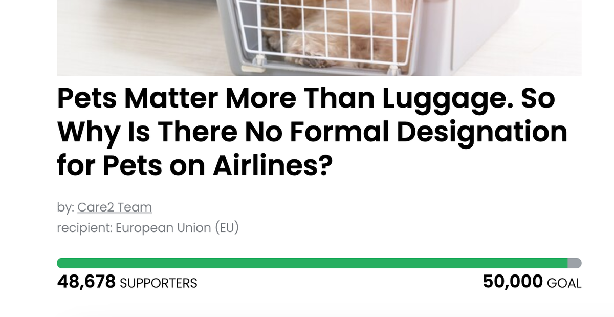 Animal Actions - Pets Aren't Luggage!