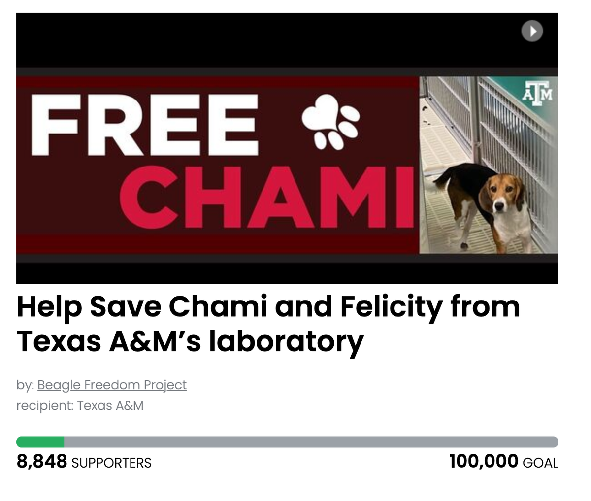 Animal Actions - Save Chami and Felicity!