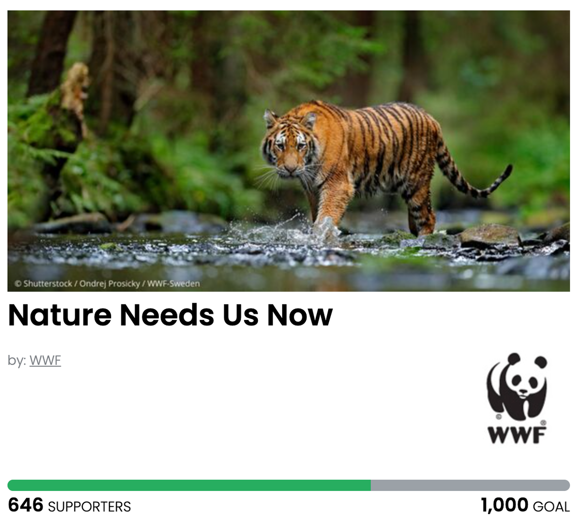 Animal Actions - Let's Protect Wildlife!