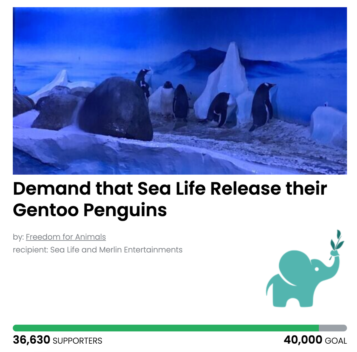 Animal Actions - Let the penguins have a proper home!