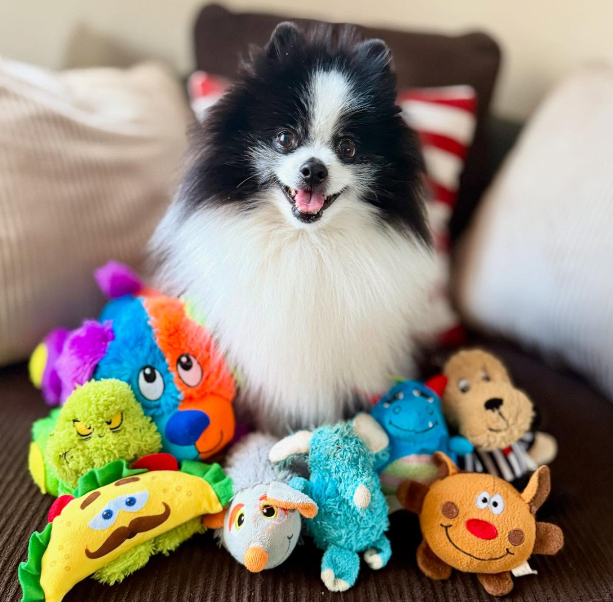 🐶❤️🐶 How to prevent dogs from choking 🐶❤️🐶