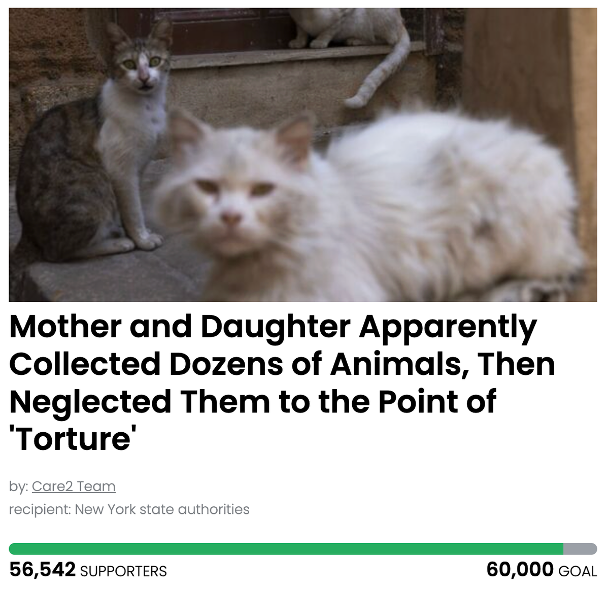 Animal Actions - Mother and Daughter Neglected Animals to the Point of 'Torture'