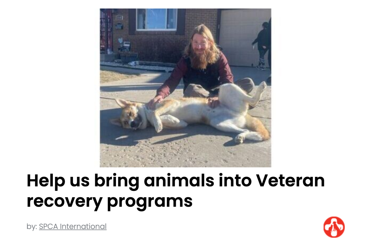 Animal Actions - Help Get Animals to Veteran Recovery Programs