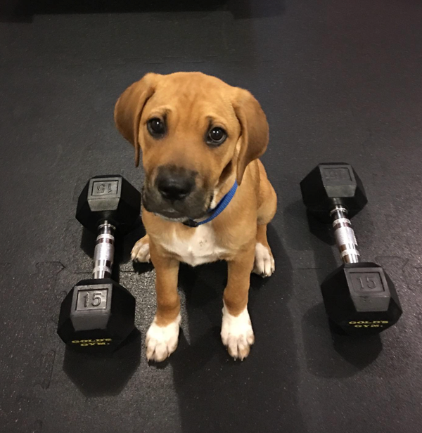 🐶❤️🐶 Why do puppies sleep so much? 🐶❤️🐶