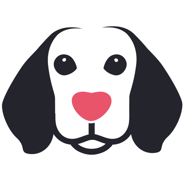 🐶❤️🐶 Why do dogs like sticking their heads out car windows? 🐶❤️🐶 
