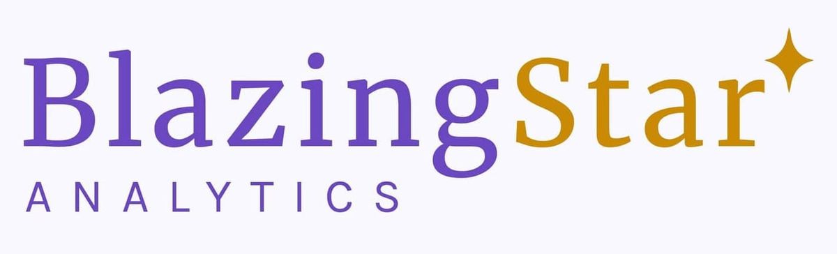 Why We Built data.blazingstaranalytics.com