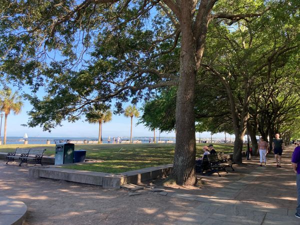 Best Coastal Family Trip: Charleston vs Savannah