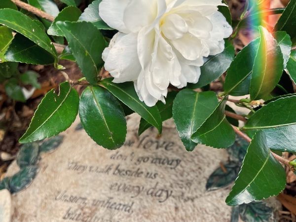 You Were My First, but Luckily Not My Last