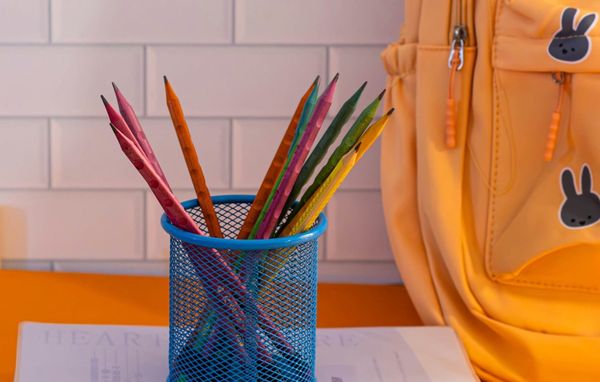 When Your Child Is Both Kids in the Sentence: School Choice for Mixed-Race Families