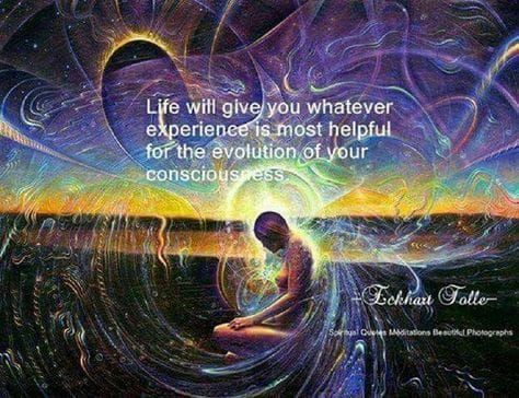 Herbal knowledge 5D
