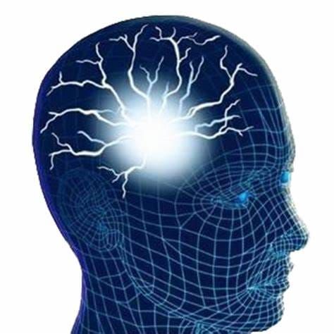 how an addicted brain works