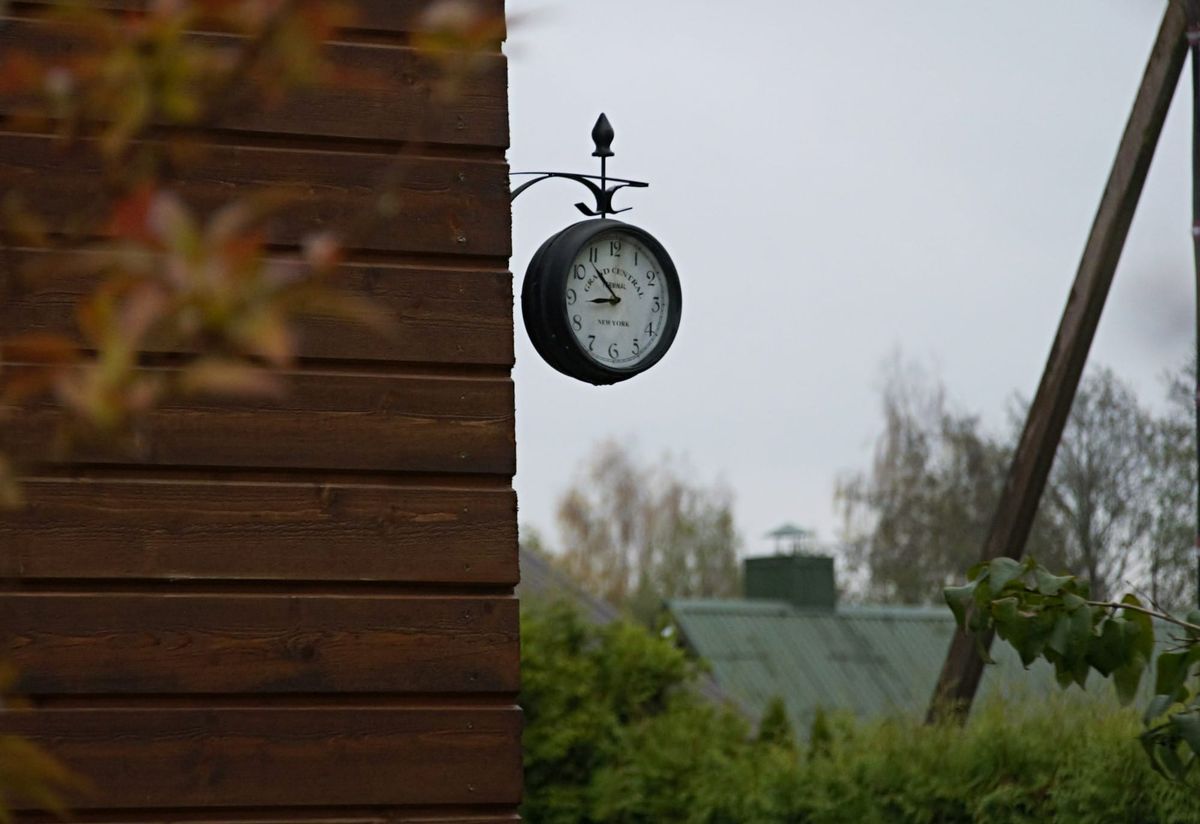 The 15-Minute Allotment Routine: What I Actually Prioritise on a Lunchtime Visit