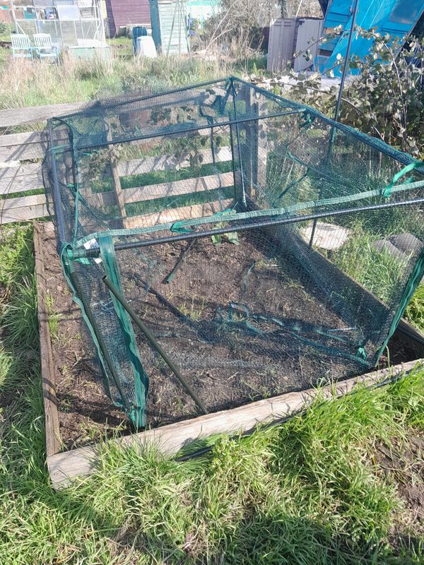Destroyed mesh and netting on a brassica cage after high winds on a UK allotment.
