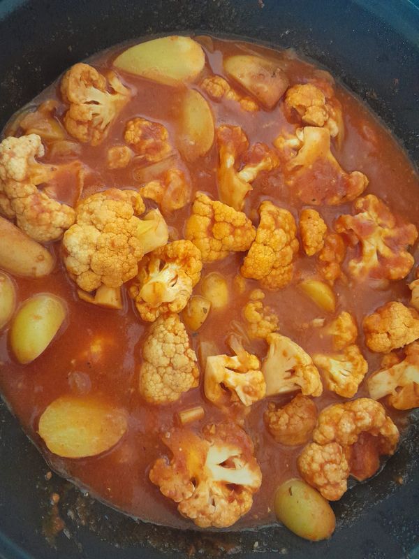 Cauli-Crisis, Snail Sabotage, and the Courgette Threat