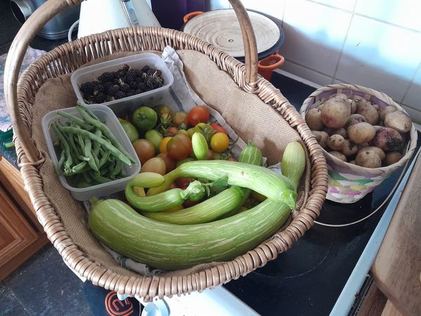 After the Summer Harvest — What To Do With Your Allotment Harvest