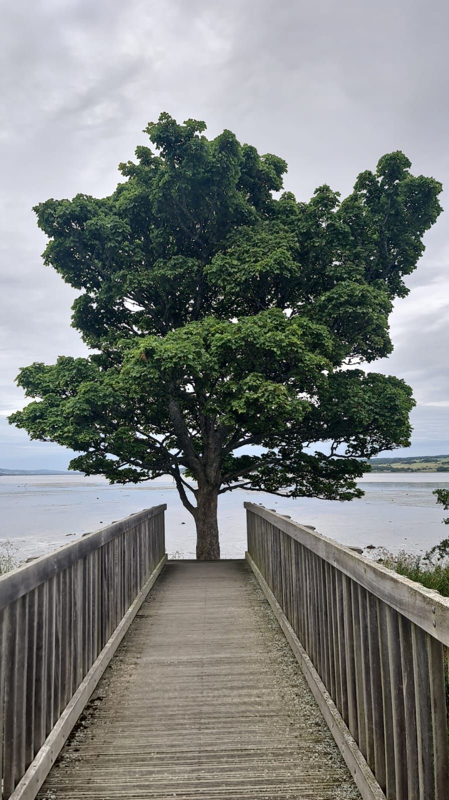 Do You Know any Good People Doing Great Projects for Good?