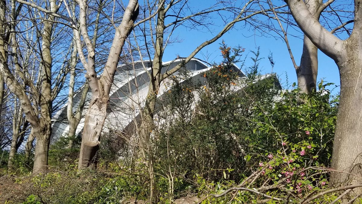 The Biggest Questions Being Asked by Professionals in Responsible Tourism Today