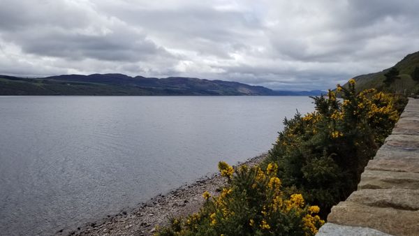 Your Chance to Get Involved in Scotland Climate Week - have Fun and Make a Difference