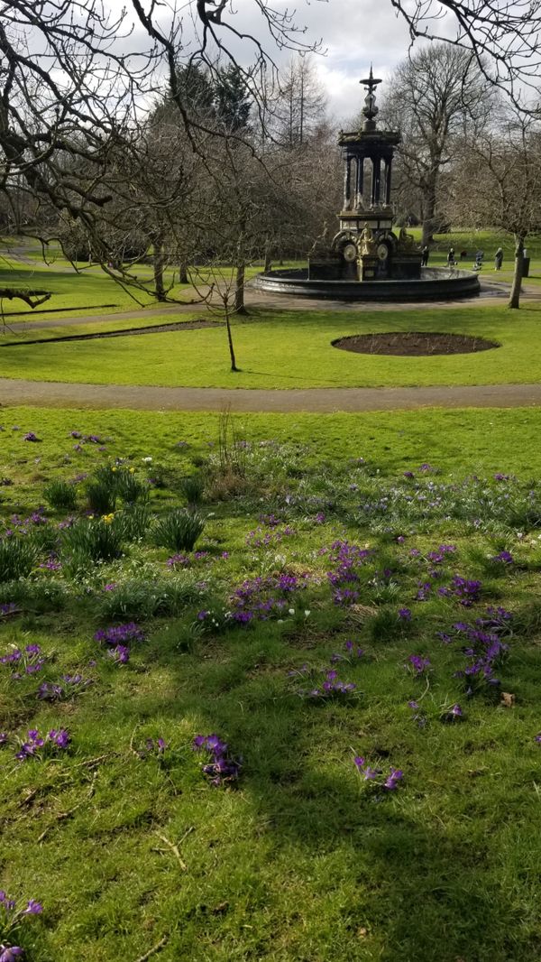 Talking about Sustainability Without Using the Word itself