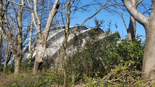 The Biggest Questions Being Asked by Professionals in Responsible Tourism Today