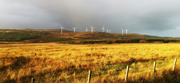 The Power Shift: How Scotland’s Green Energy Boom is Affecting Communities Coast to Coast