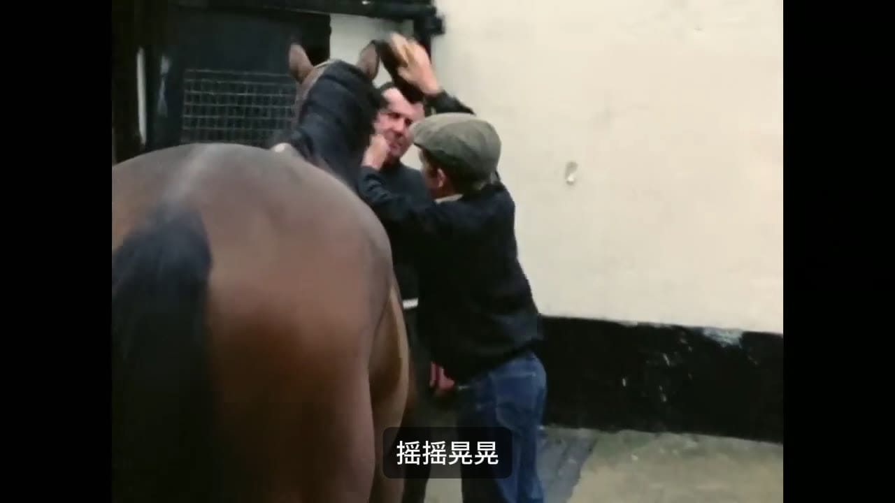 人生七年 Tony 小时候站在桶上给马梳毛