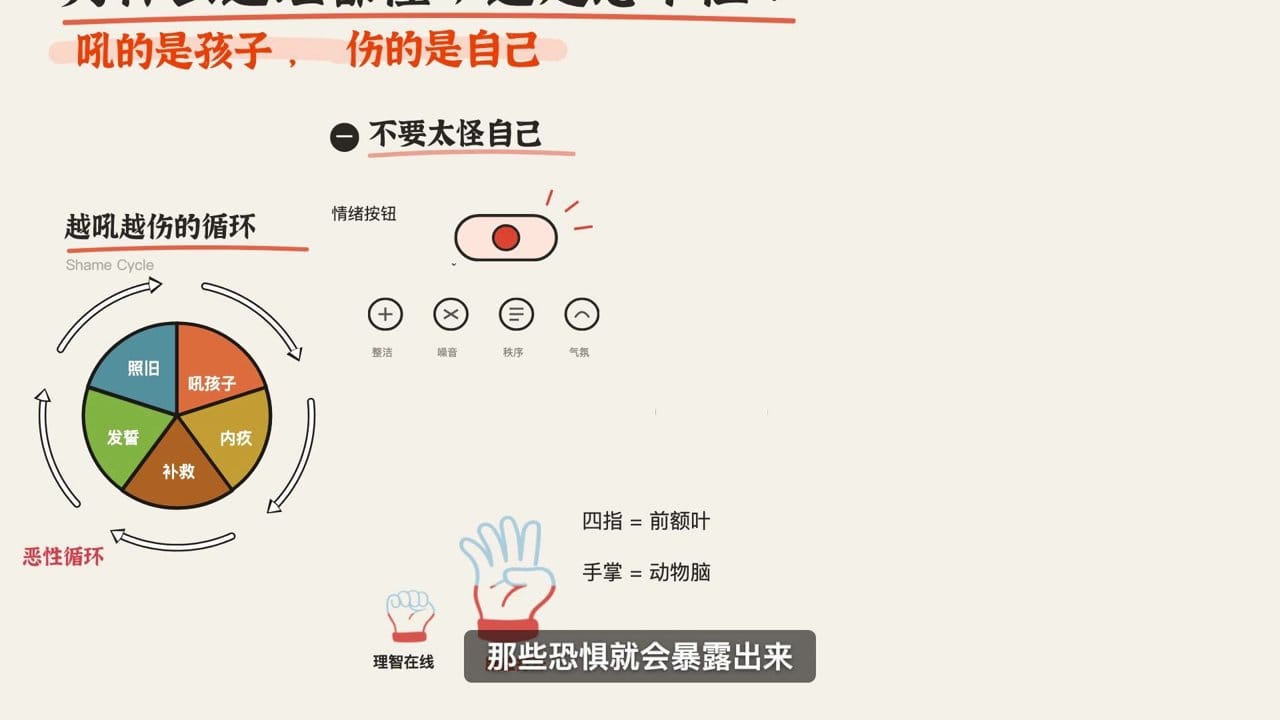 手掌大脑：四指是前额叶，手掌是动物脑