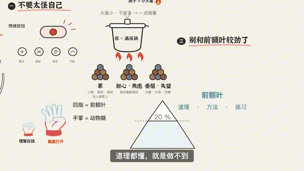 道理、方法、练习只占 20%