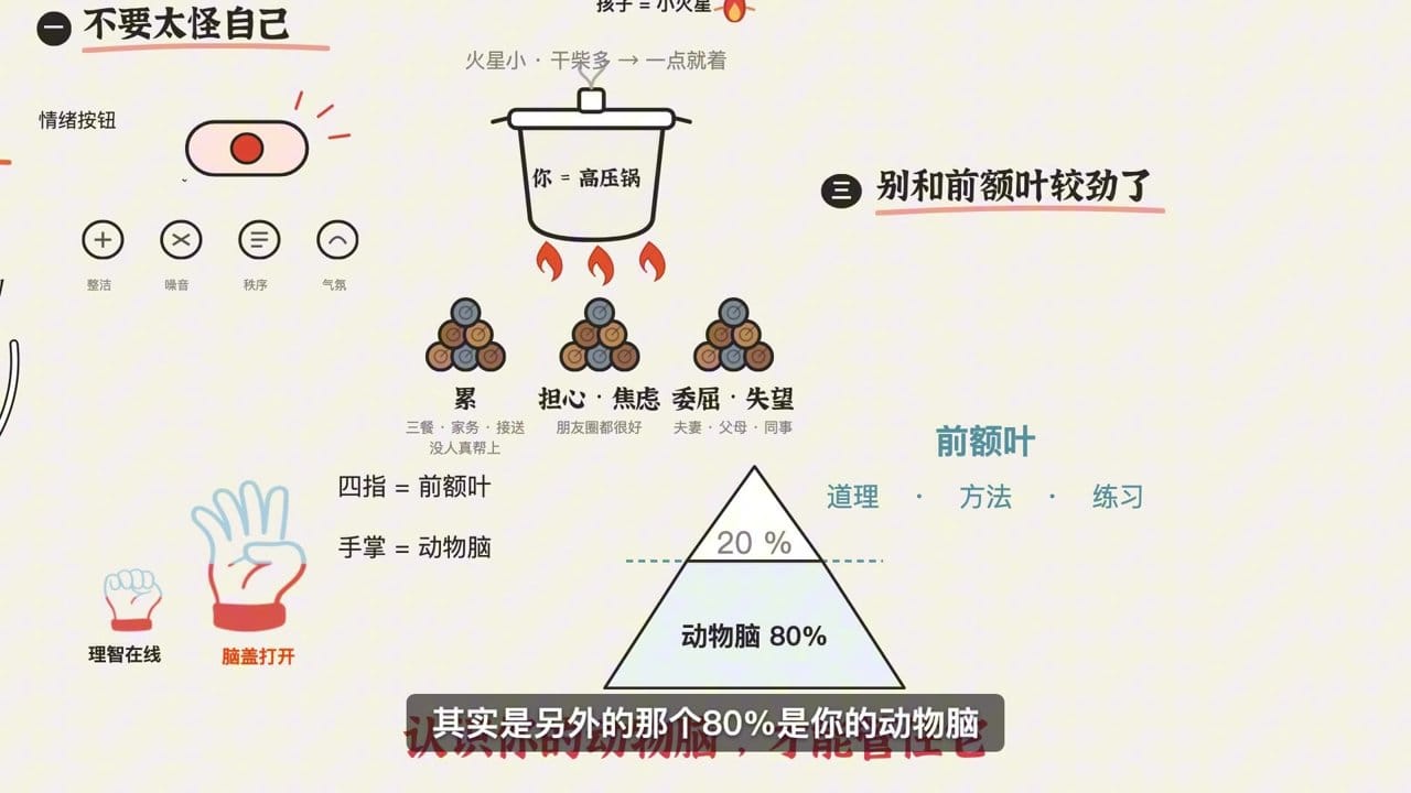 另外的 80% 是你的动物脑