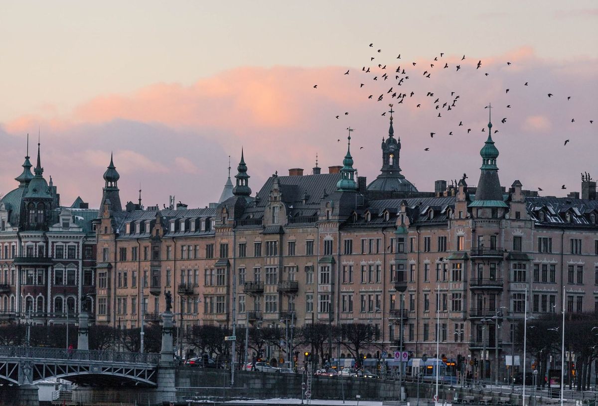 From Results to Action: Vinnova’s Journey Towards a Sustainable Future - Part 2 / 3: Startups Leading the Way