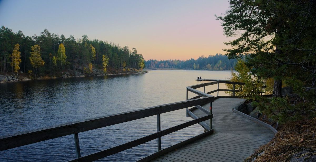 From Results to Action: Vinnova’s Journey Towards a Sustainable Future - Part 3 / 3: Your Impact Roadmap