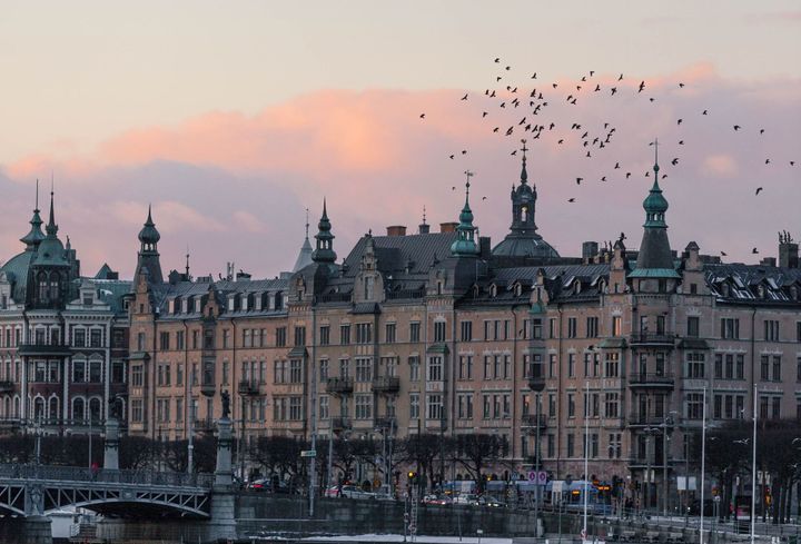 From Results to Action: Vinnova’s Journey Towards a Sustainable Future - Part 2 / 3: Startups Leading the Way