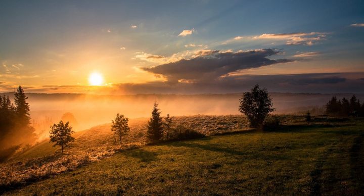 Future Forward: ESG and Impact Trends for 2024