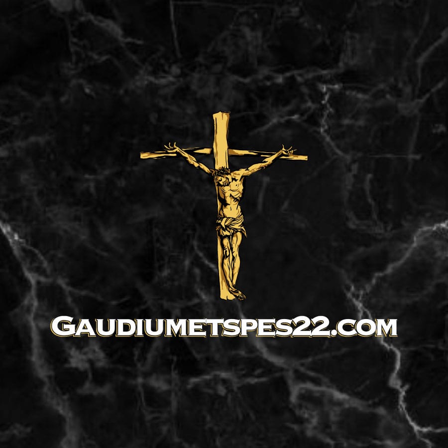Gaudium et Spes 22