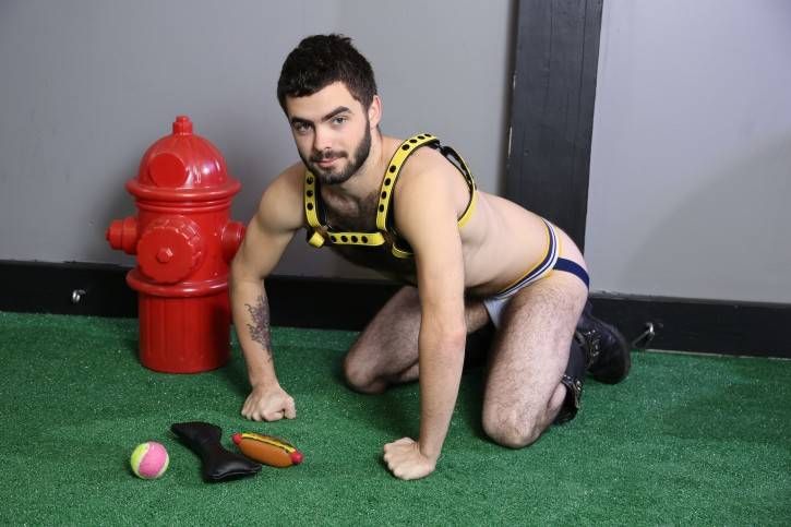 Kink 1.01: Pup Play