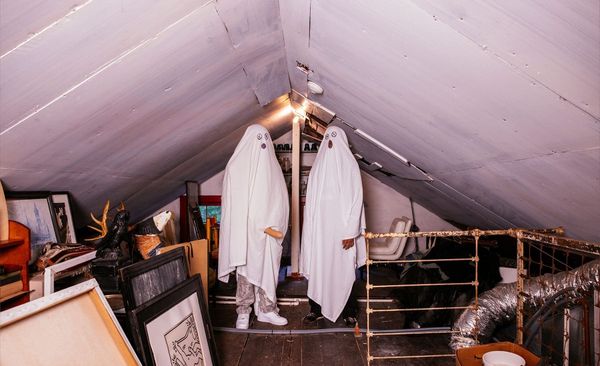 Billy is back for more