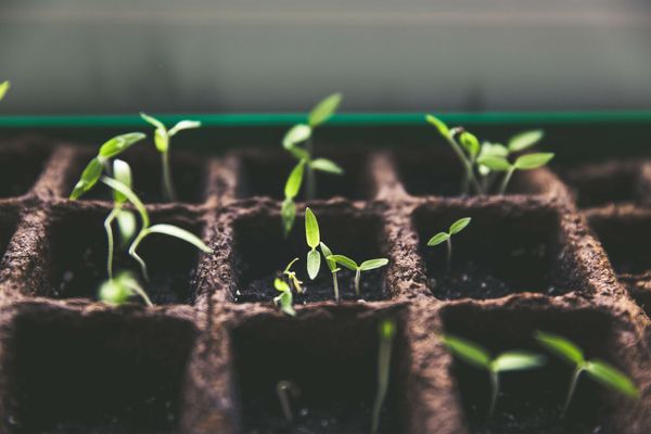 A product marketer's guide to product-led growth