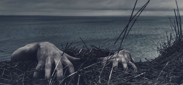 Growth killed brand –  but how dead is it?