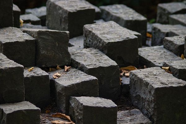 Building a Voice of Developer (VOD) program  in 10 steps