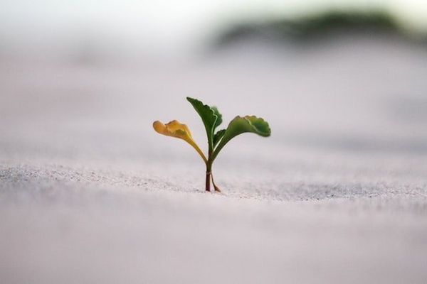 How to build a sustainable product growth strategy