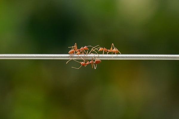 Making connections: The secret to exceptional cross-functional teams