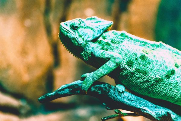 The evolution of product marketing:  Adapting to changing business needs
