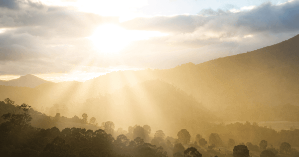 Unlocking leadership mastery: 
 The PMM's guide to radiating executive presence