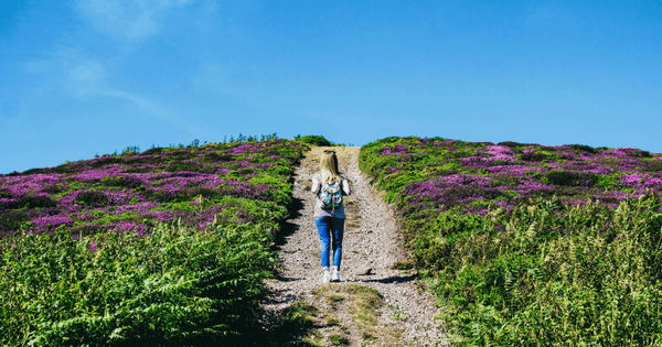 What should a B2B post-sale journey  look like?
