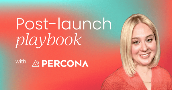 The post-launch playbook:  Turning launch momentum into sustainable growth