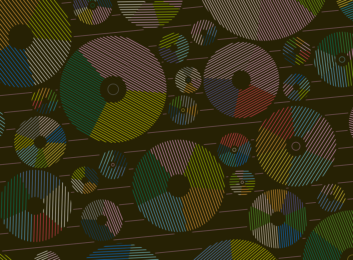 Gorilla Newsletter 24