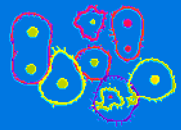 Gorilla Newsletter 100