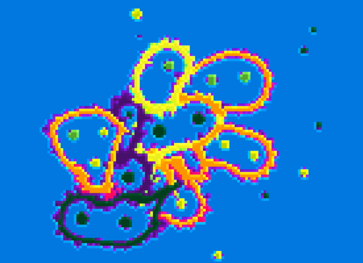 Gorilla Newsletter 101